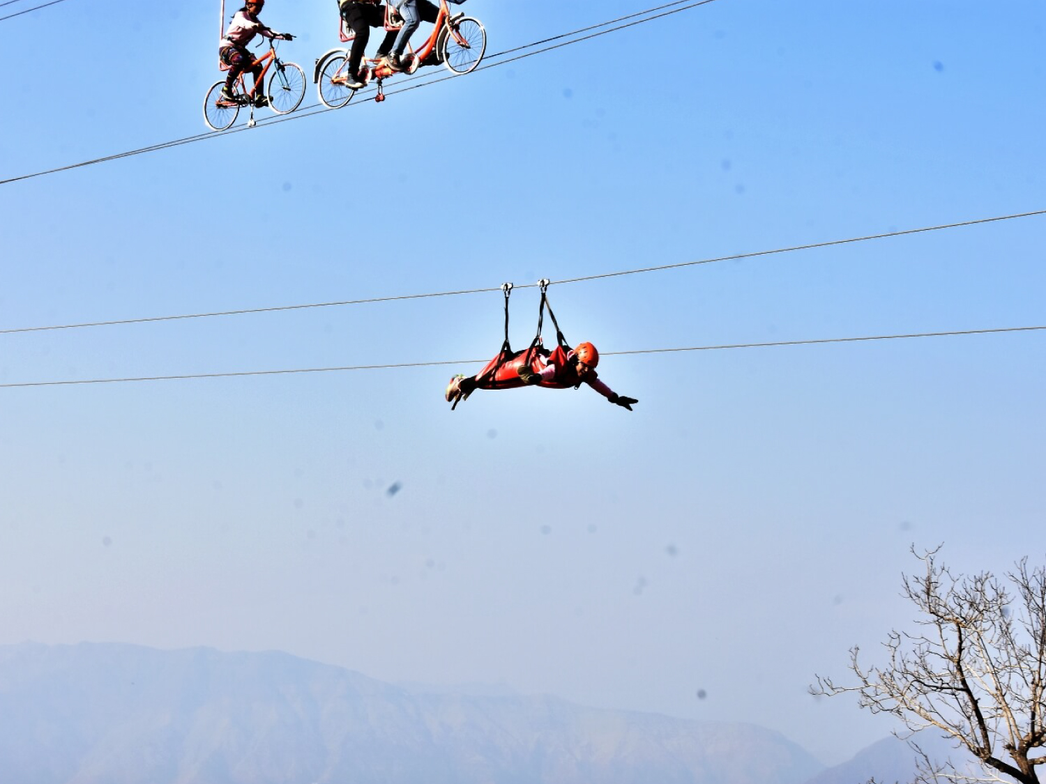 flying fox in Mussoorie
