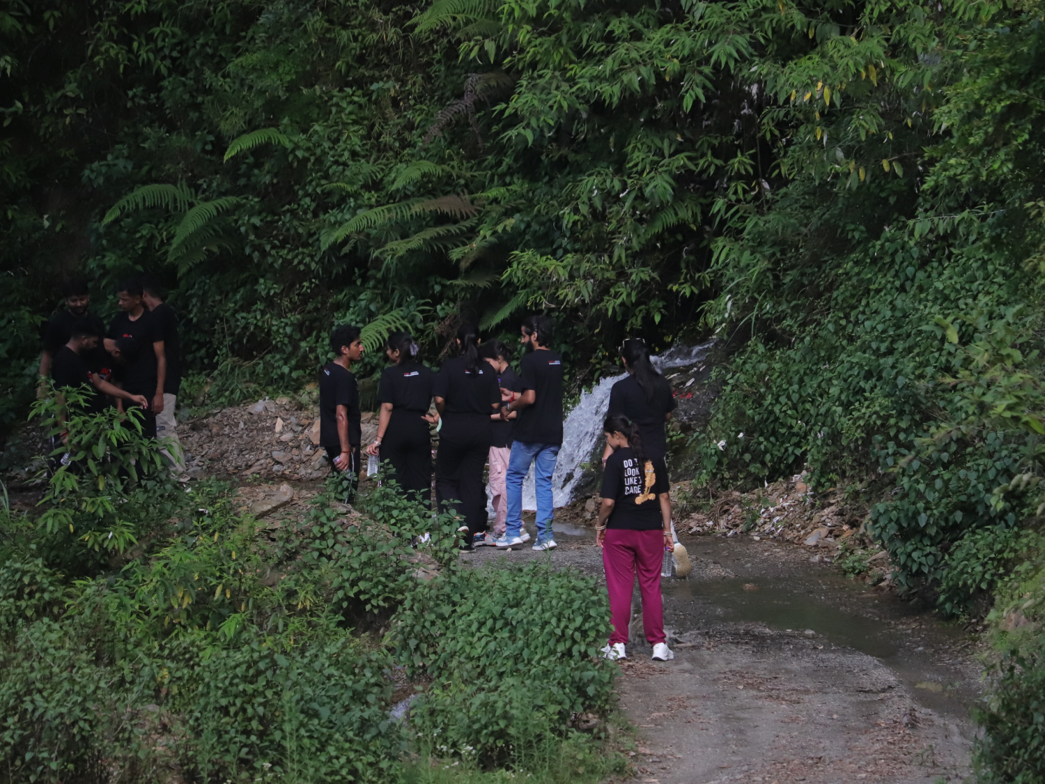 guided trekking tours