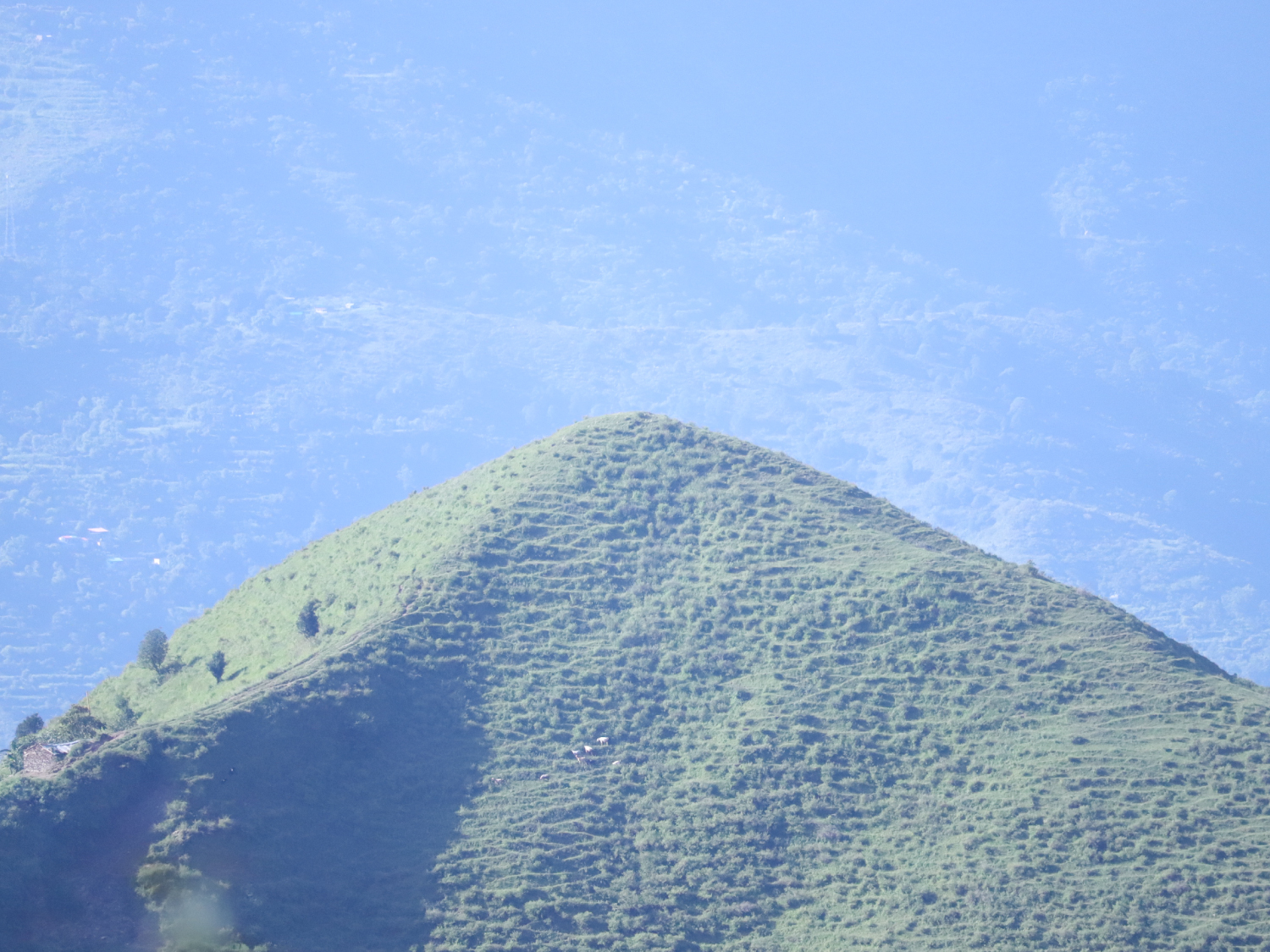 bungee jumping in mussoorie ticket price